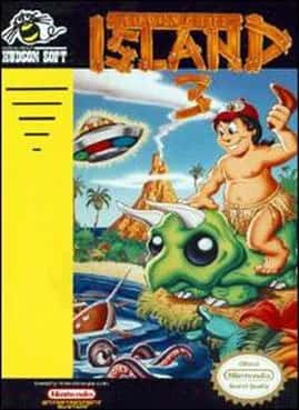 Hudson's Adventure Island III