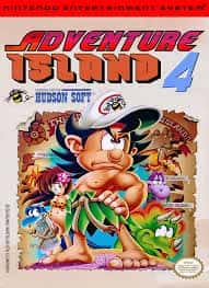 Hudson's Adventure Island IV